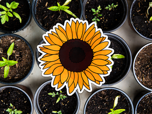 Sunflower Sticker